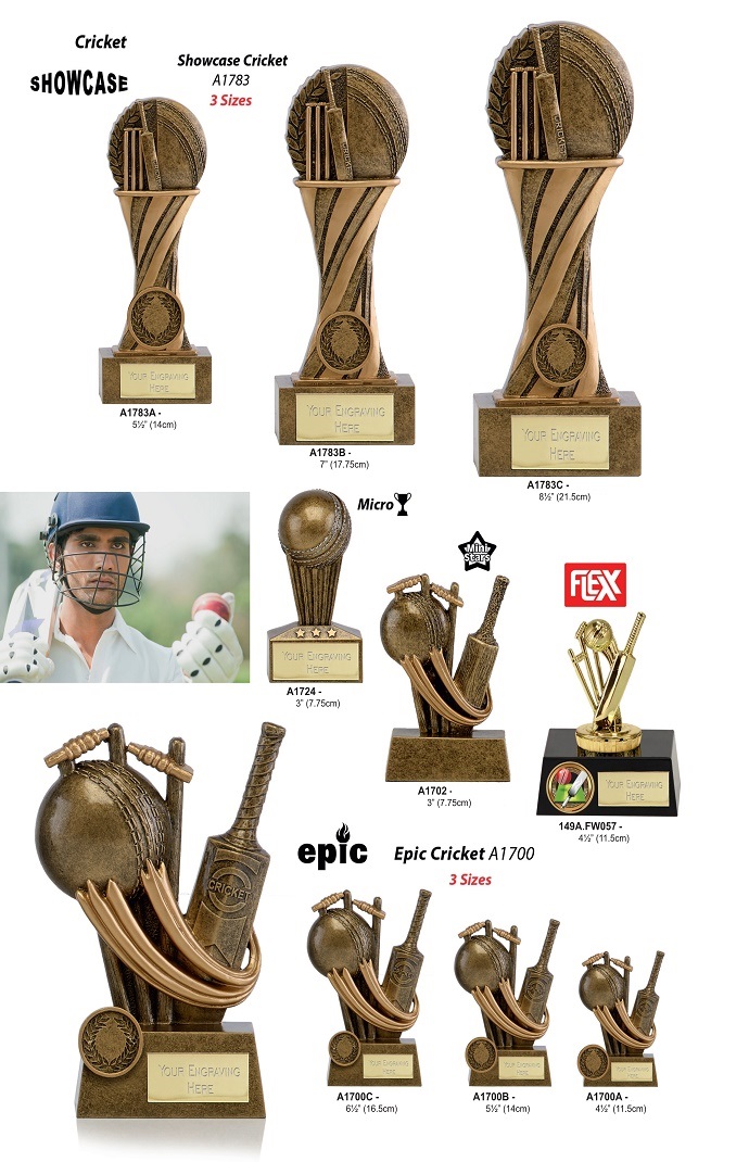 Cricket