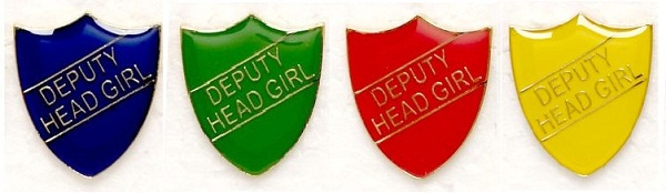 Metal gloss coloured Pin Badge